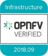 NFVI badge